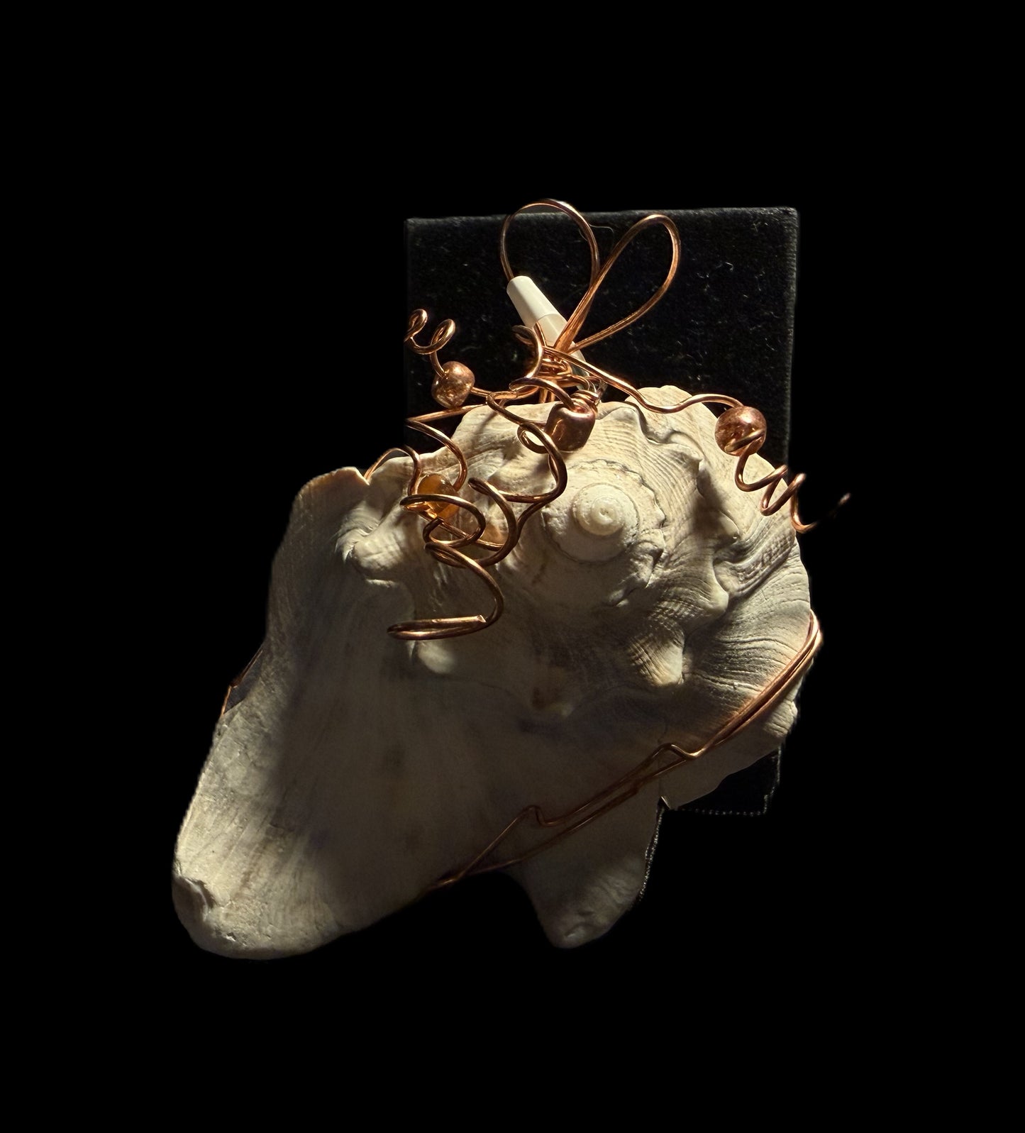 Broken Shell Ornament
