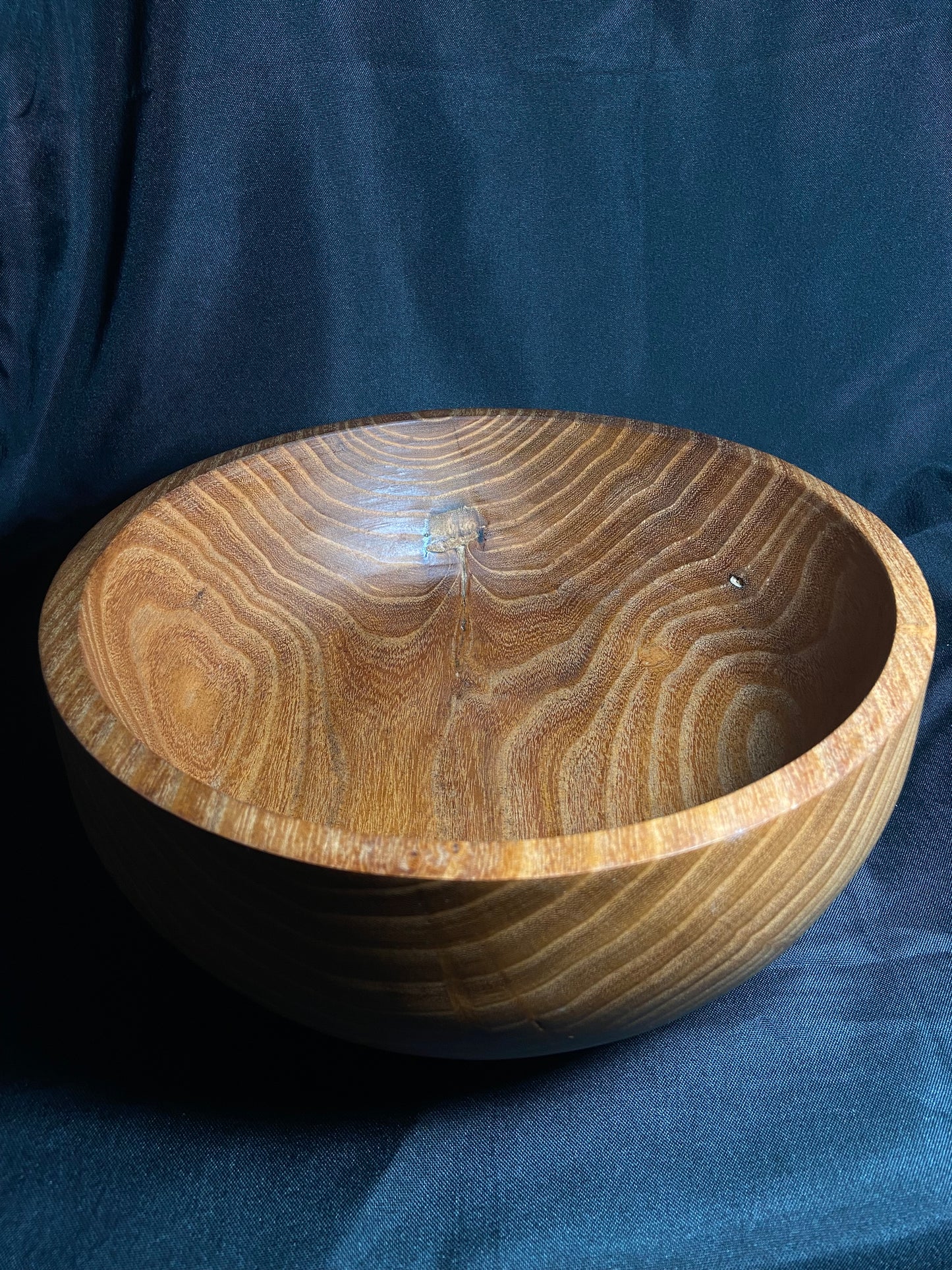 12in honey locust