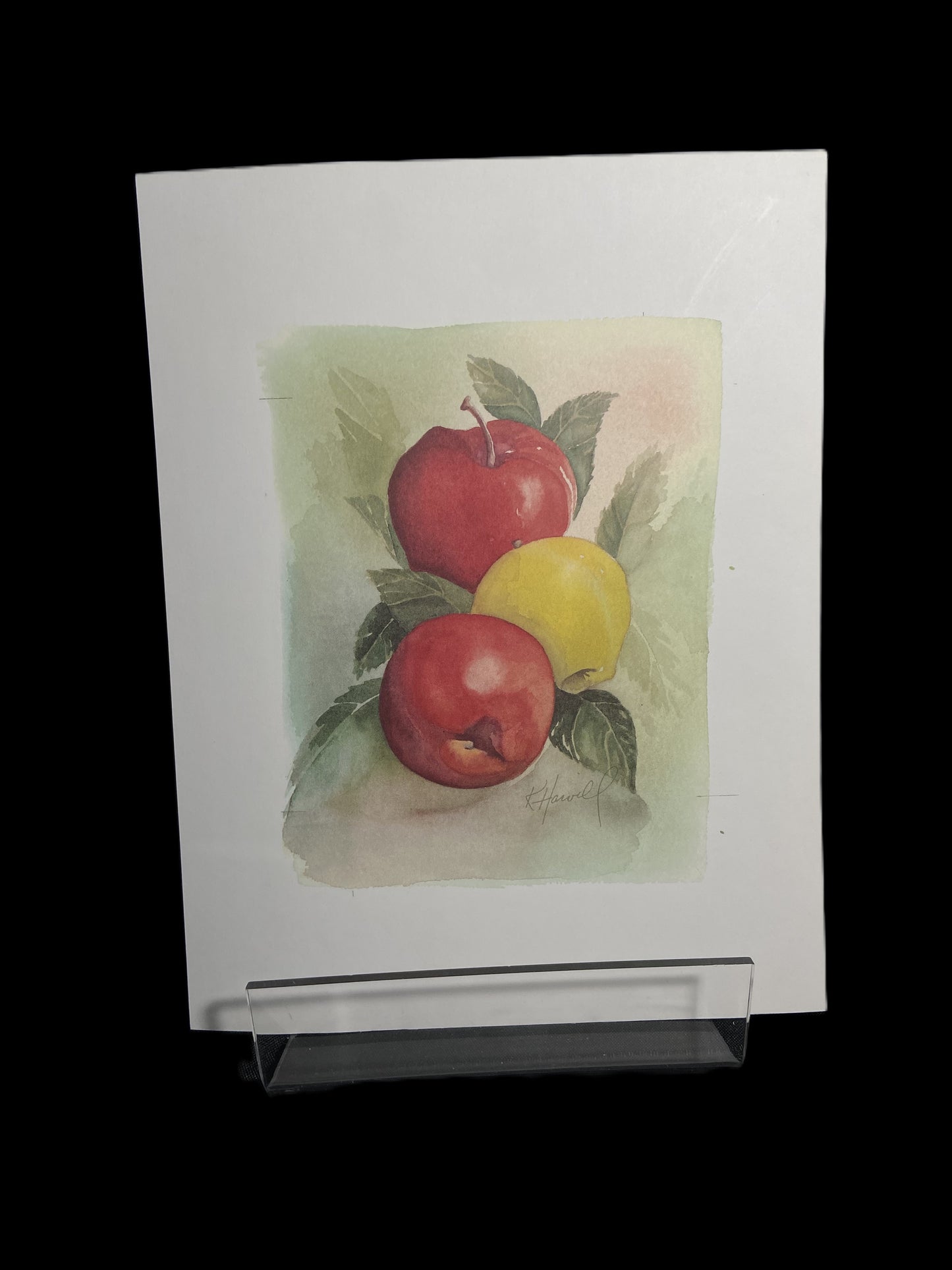 Kitty Harvill Prints