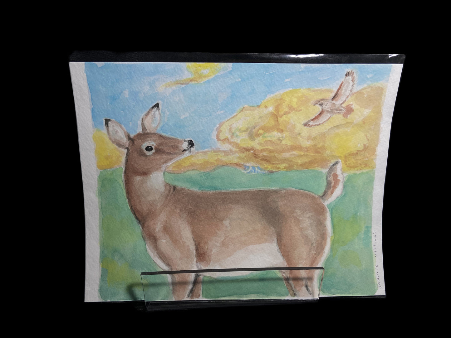 Watercolor Originals