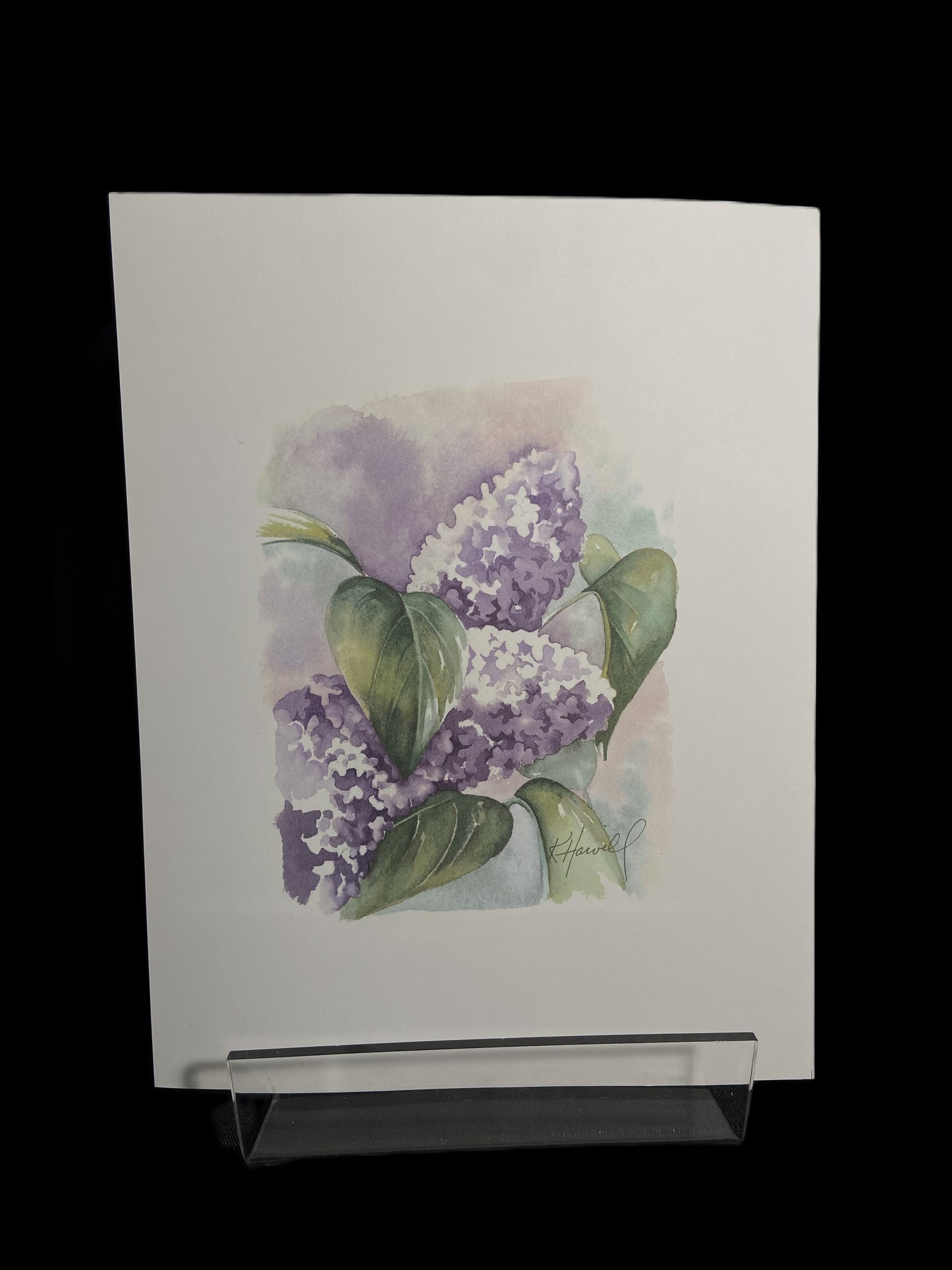 Kitty Harvill Prints