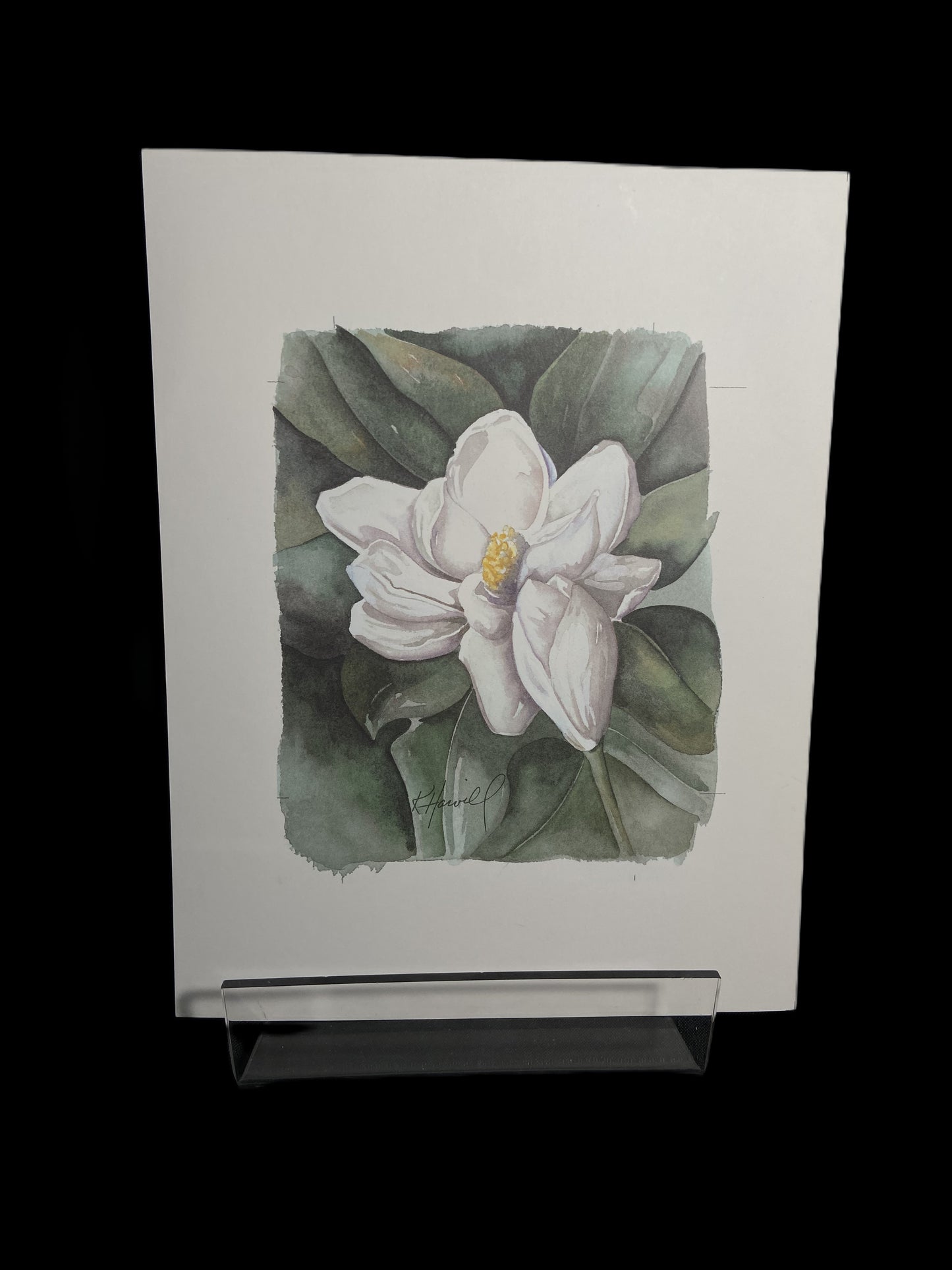 Kitty Harvill Prints