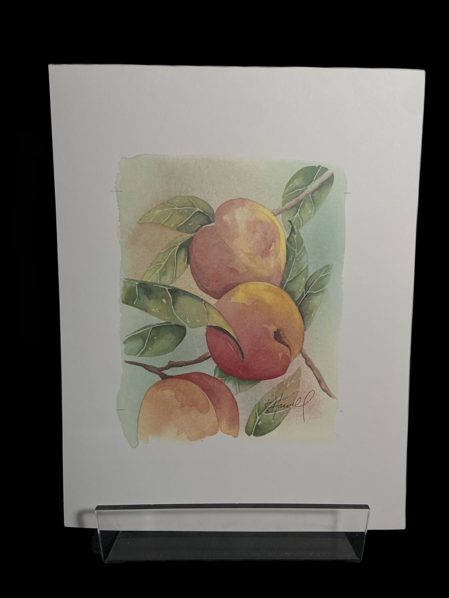 Kitty Harvill Prints