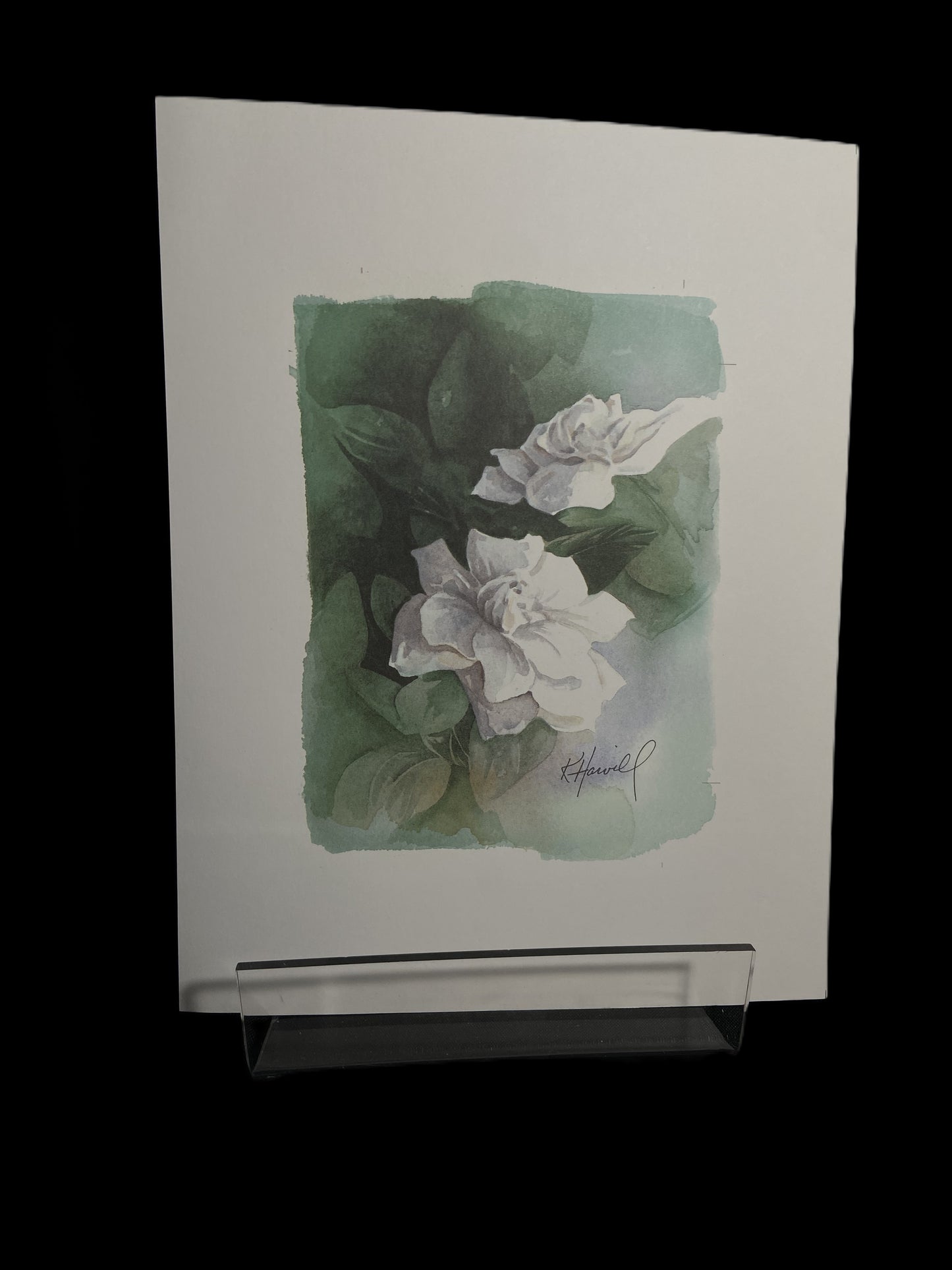 Kitty Harvill Prints