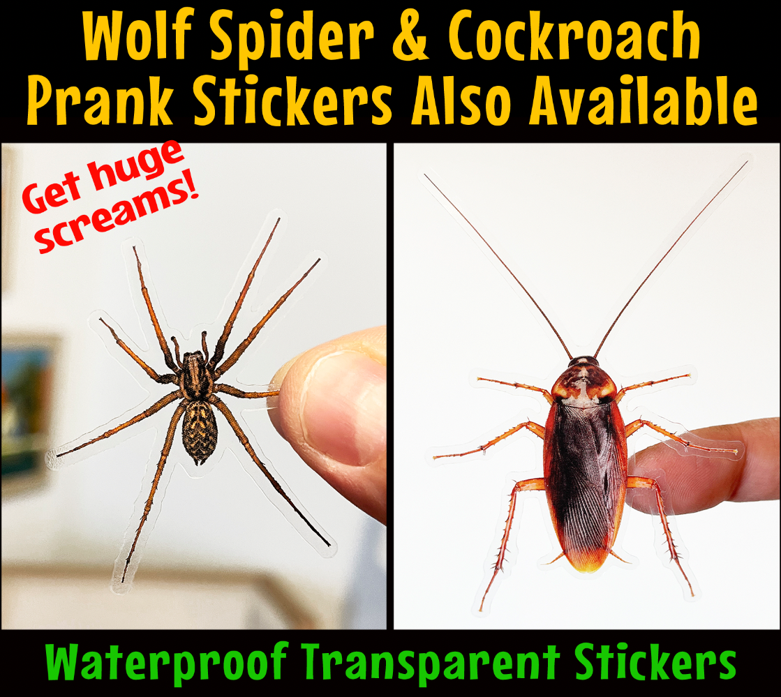 PRANK CLEAR STICKER: Spider (April Fools Practical Joke)