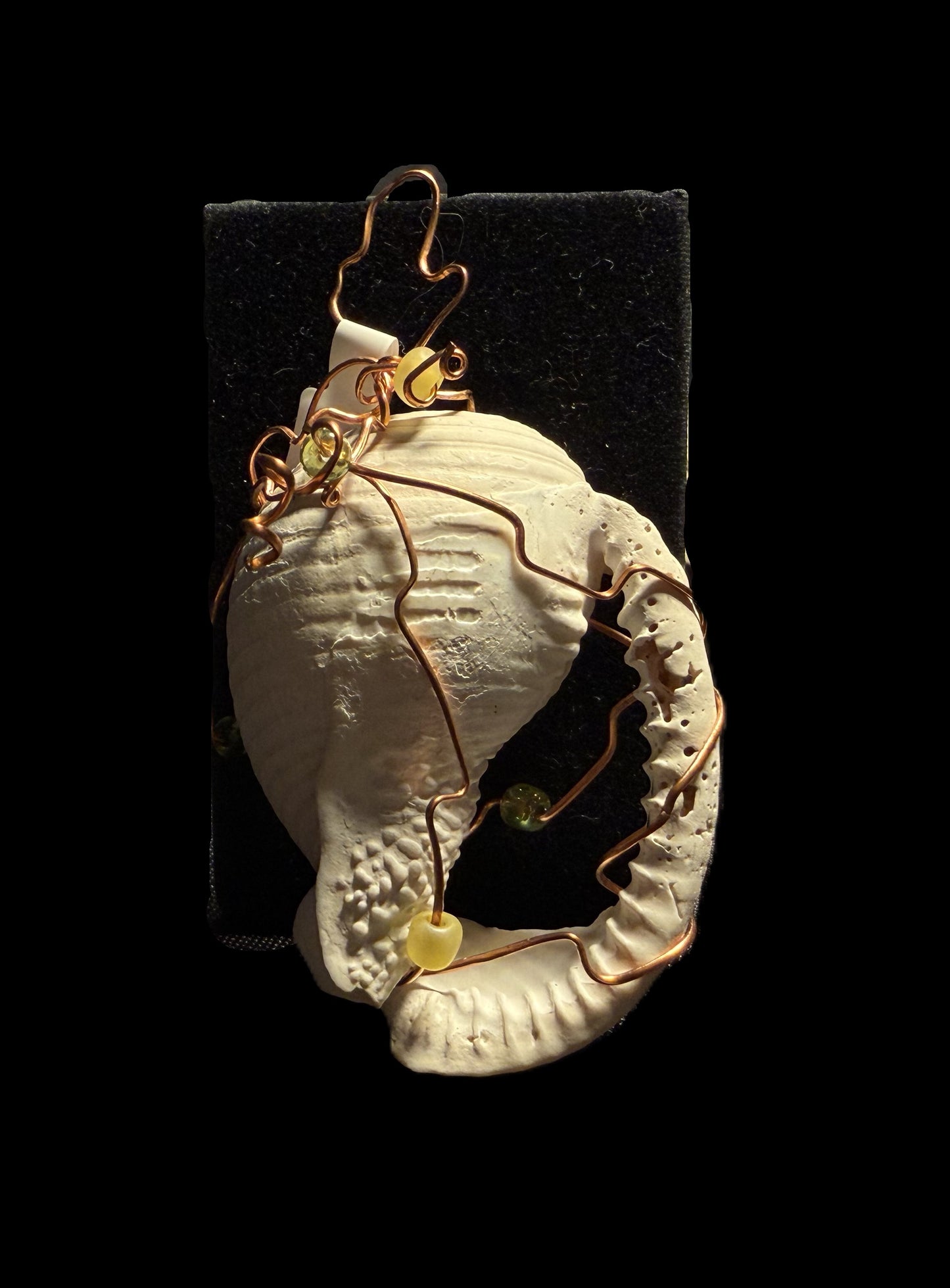 Broken Shell Ornament