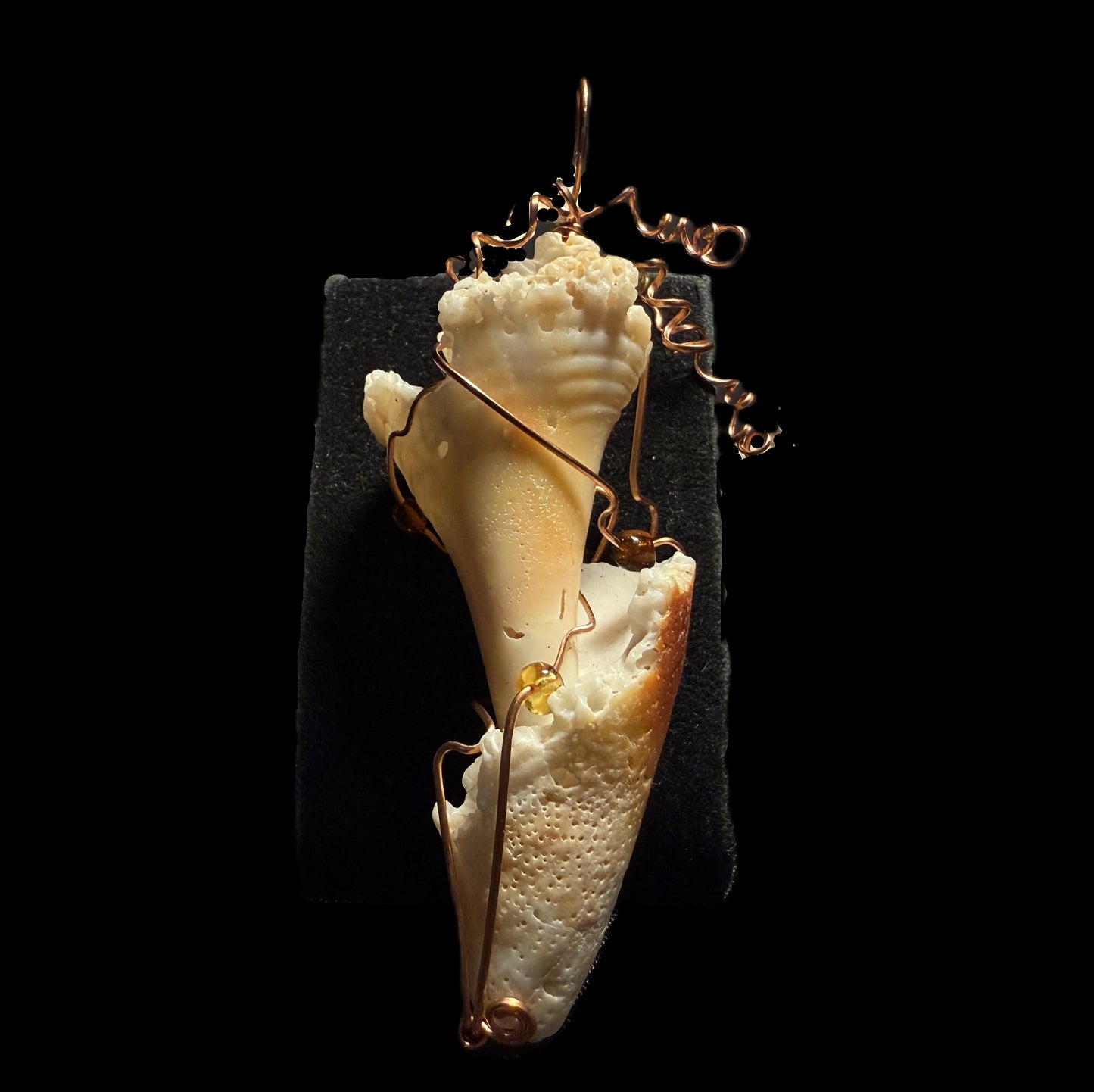 Broken Shell Ornament