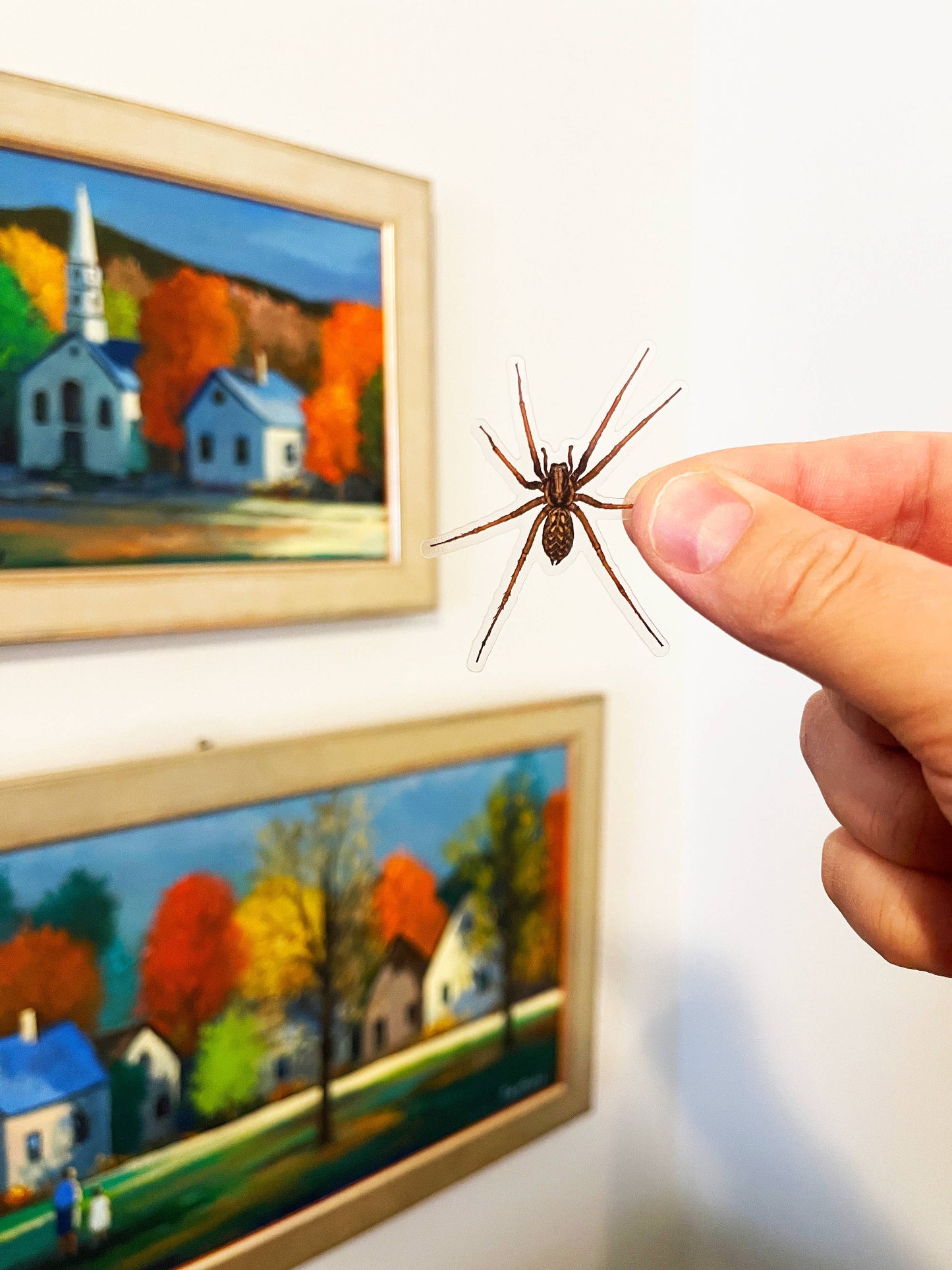 PRANK CLEAR STICKER: Spider (April Fools Practical Joke)