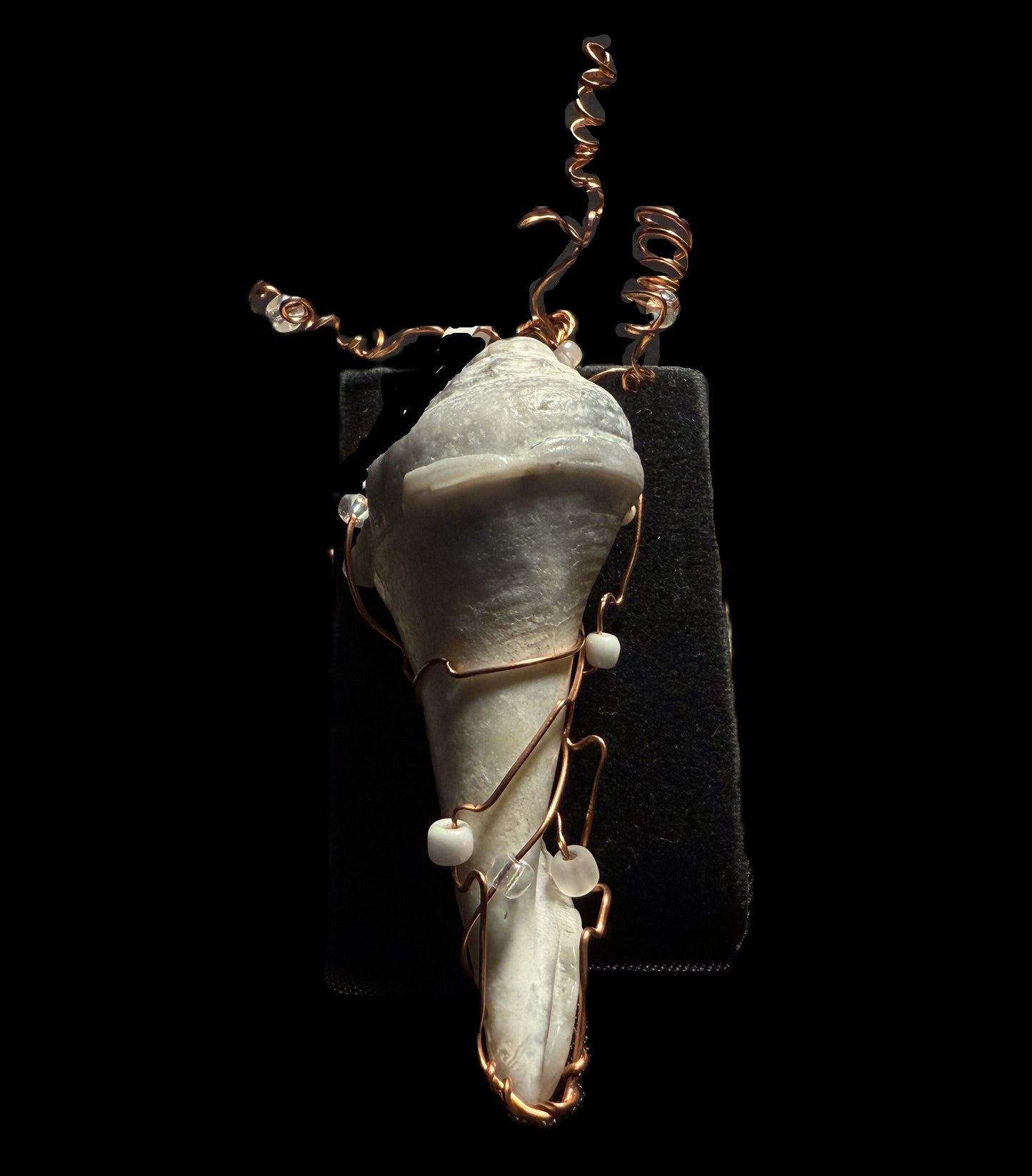 Broken Shell Ornament