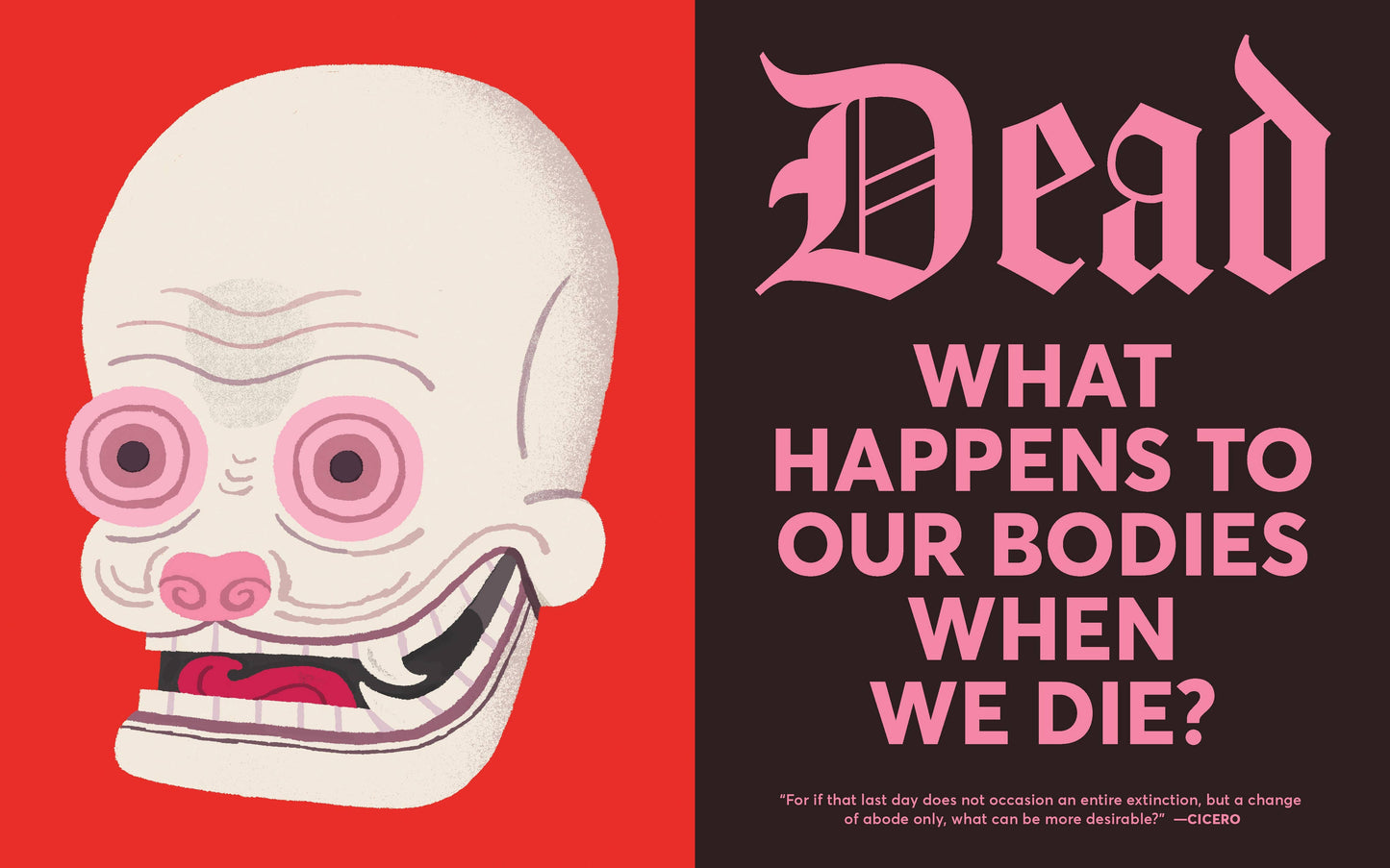 Curious Coffins and Riveting Rituals