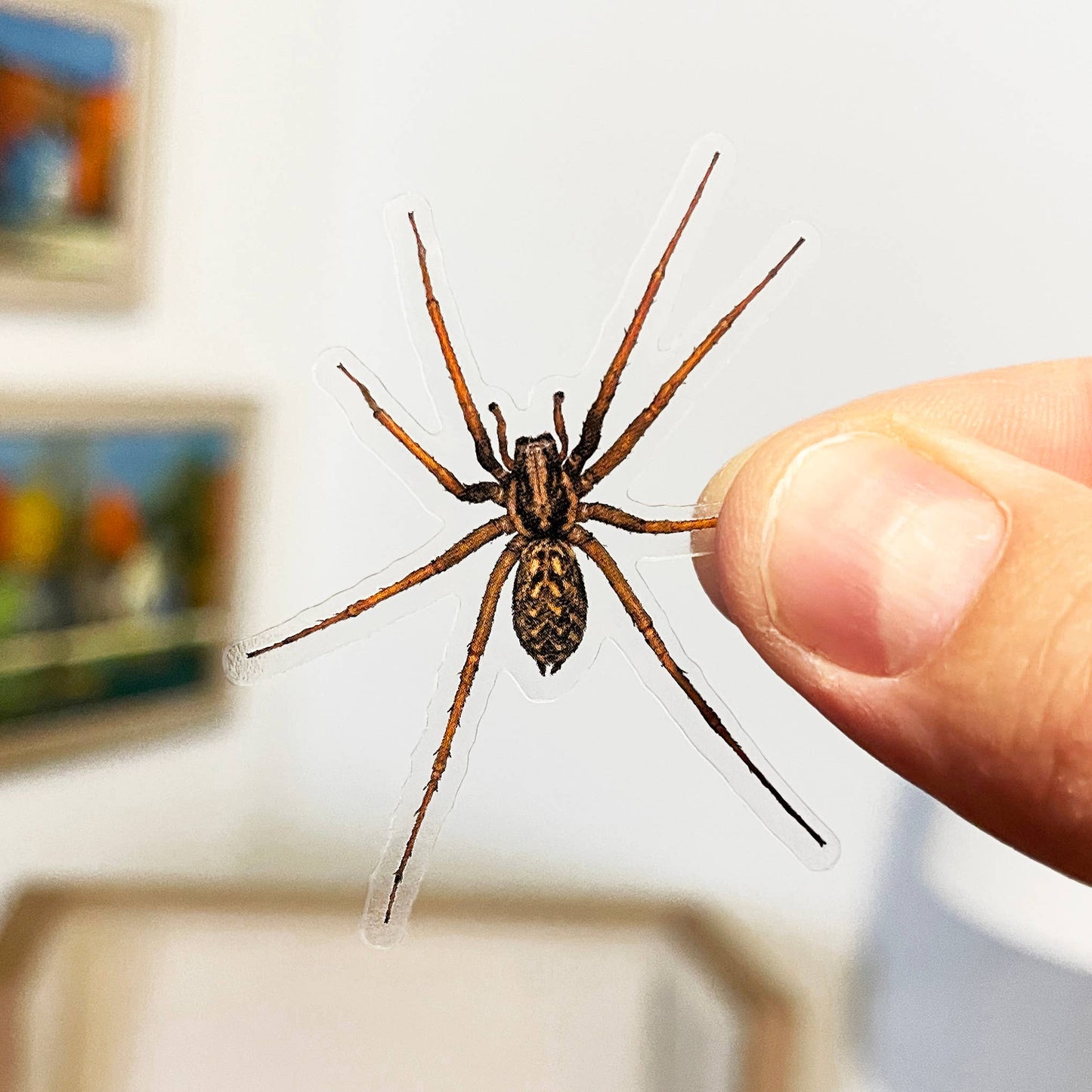 PRANK CLEAR STICKER: Spider (April Fools Practical Joke)