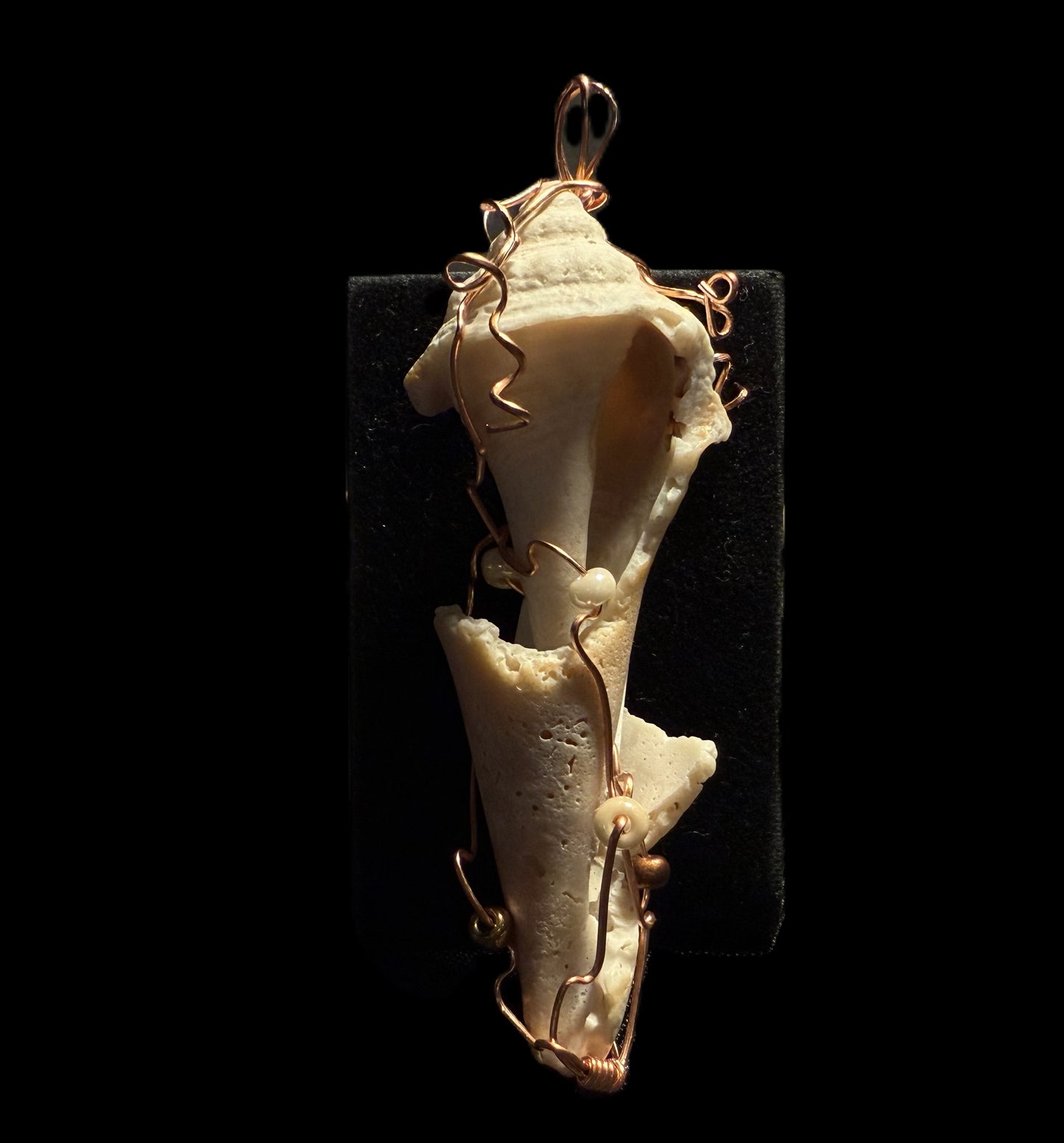 Broken Shell Ornament