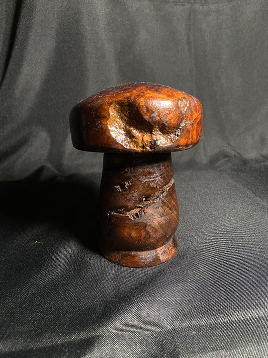 Mushroom-Redwood