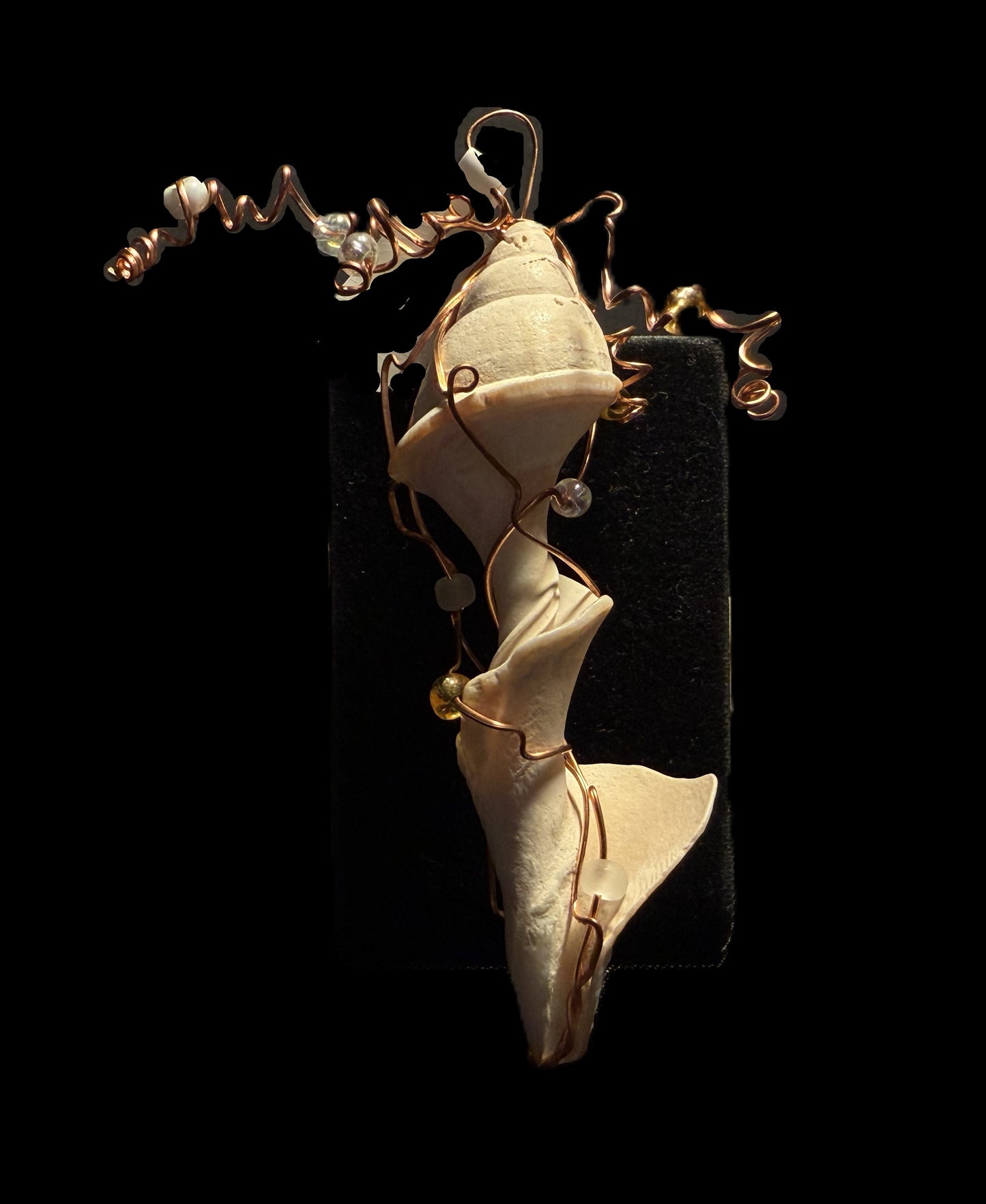 Broken Shell Ornament