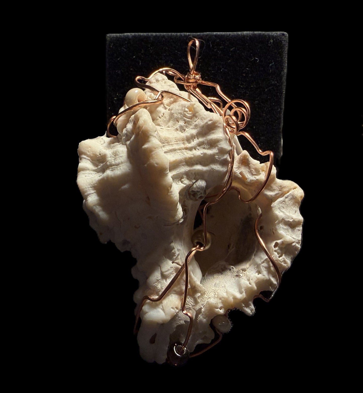 Broken Shell Ornament