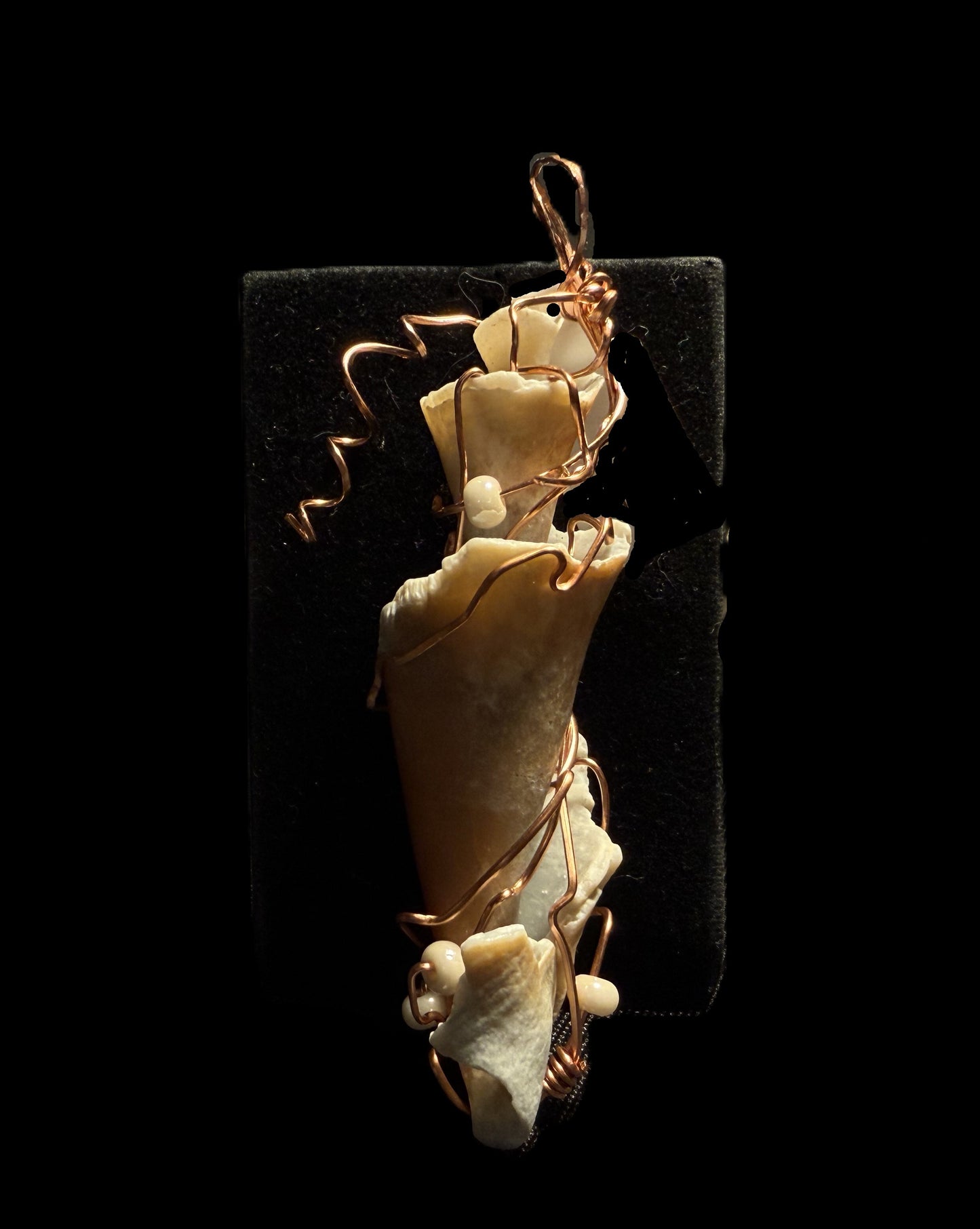 Broken Shell Ornament