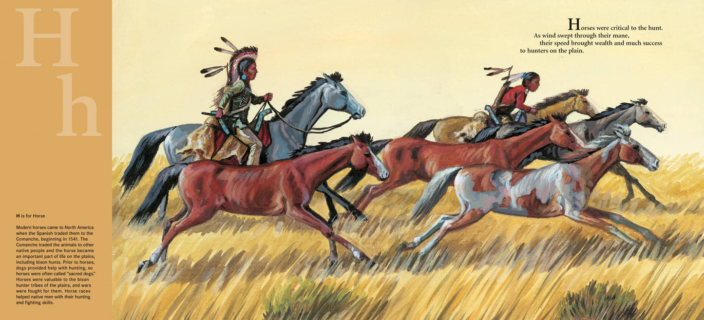 D is for Drum: A Native American Alphabet Picture Book