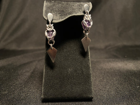 Amethyst Capture with Stainless Steel Drop Earrings