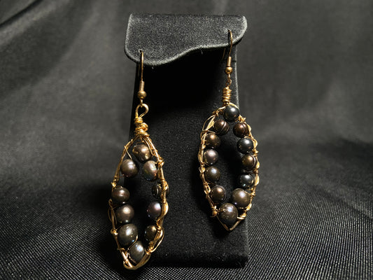 HW New earrings