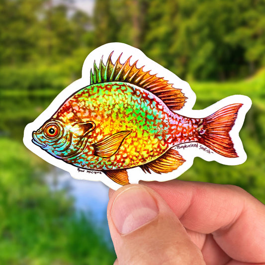 HOLOGRAPHI STICKER: Sunfish, Bluegill