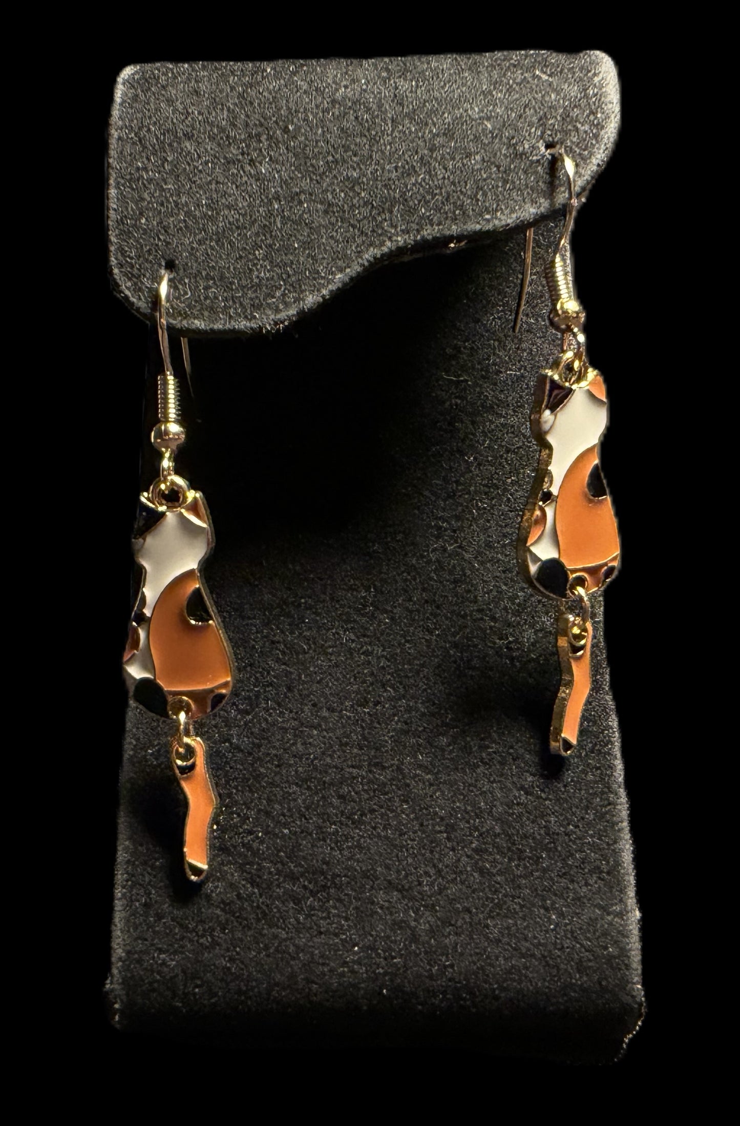 Eclectic Skye Earrings