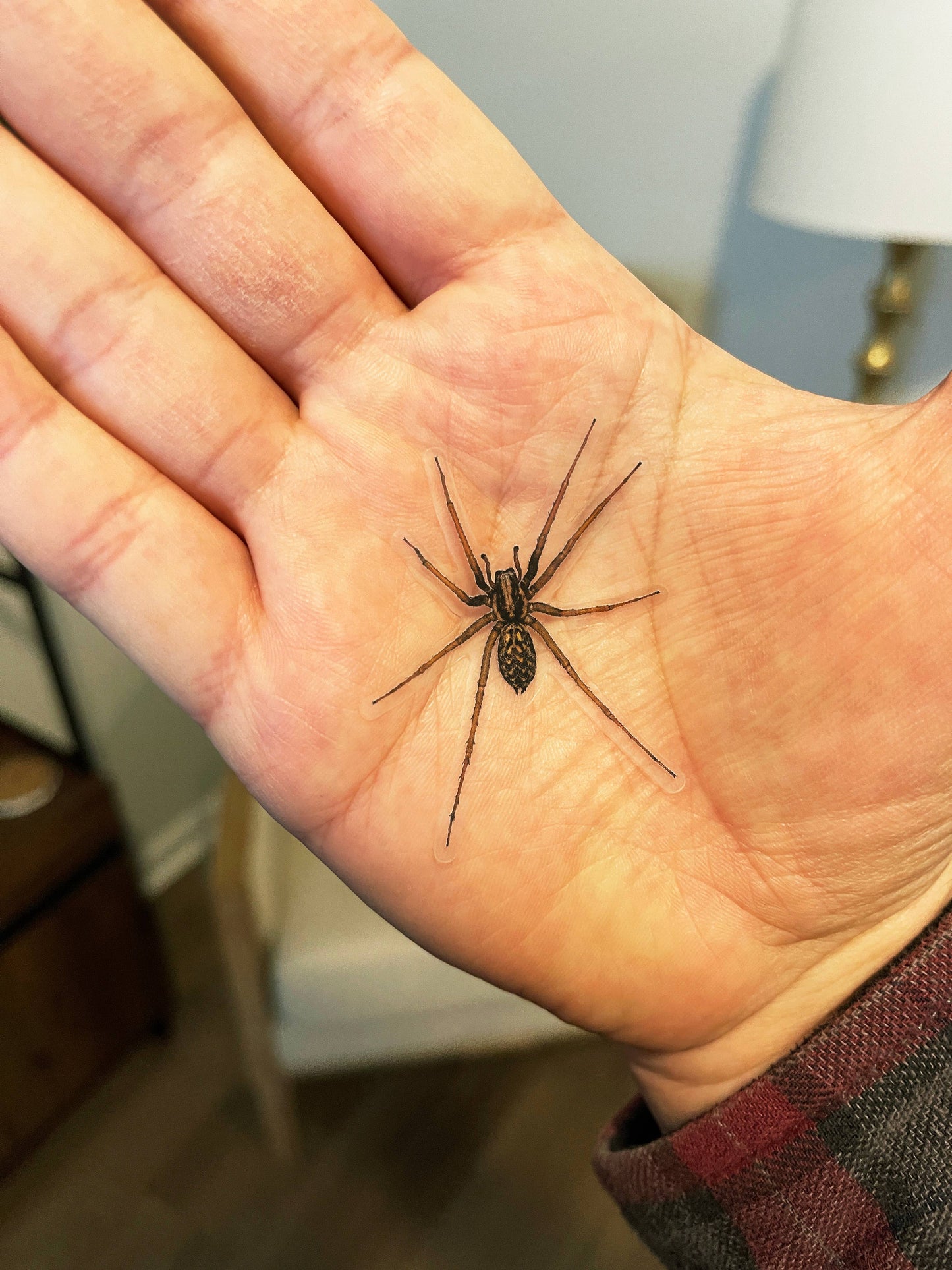 PRANK CLEAR STICKER: Spider (April Fools Practical Joke)