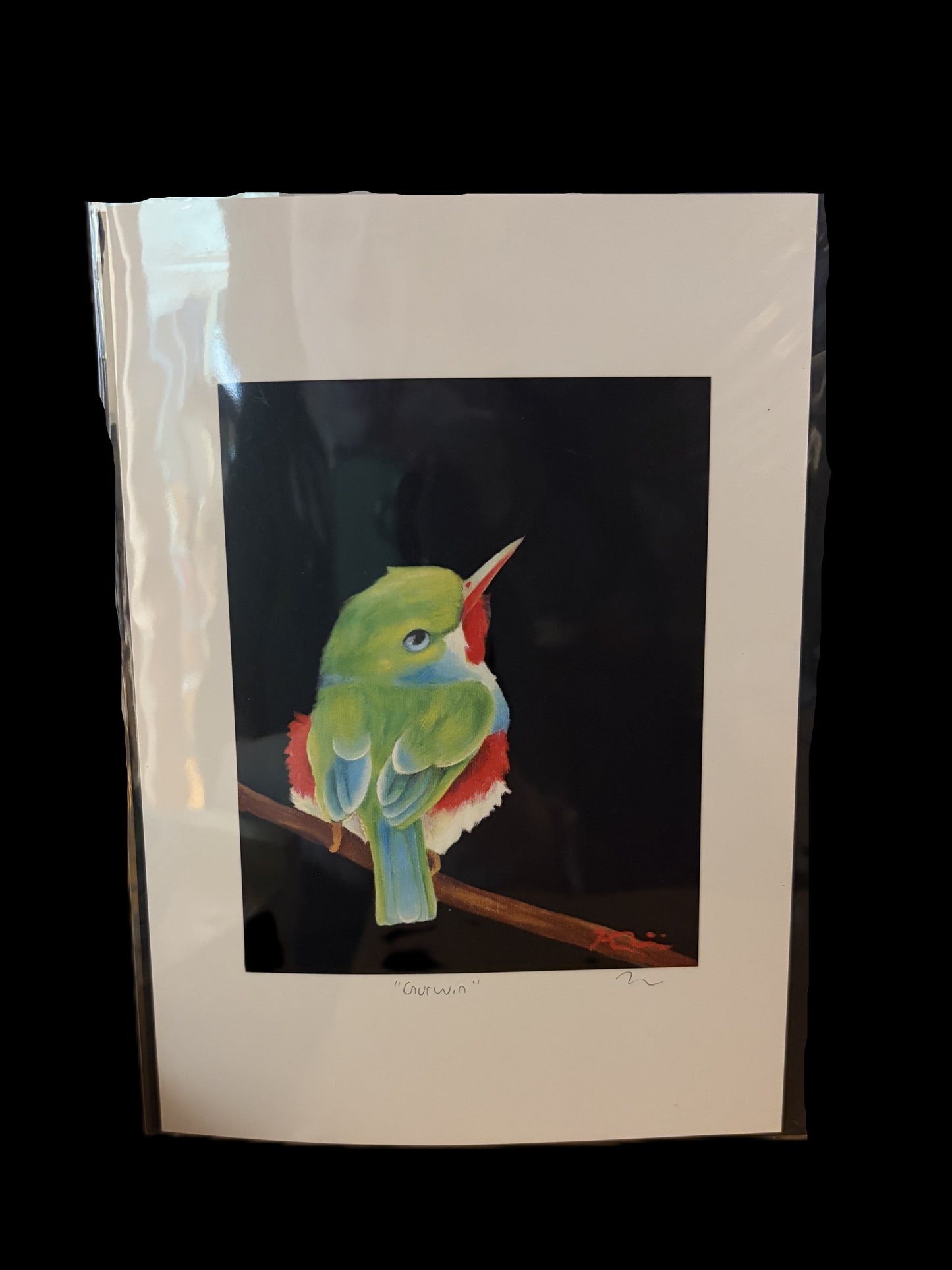 Kelley Williams prints