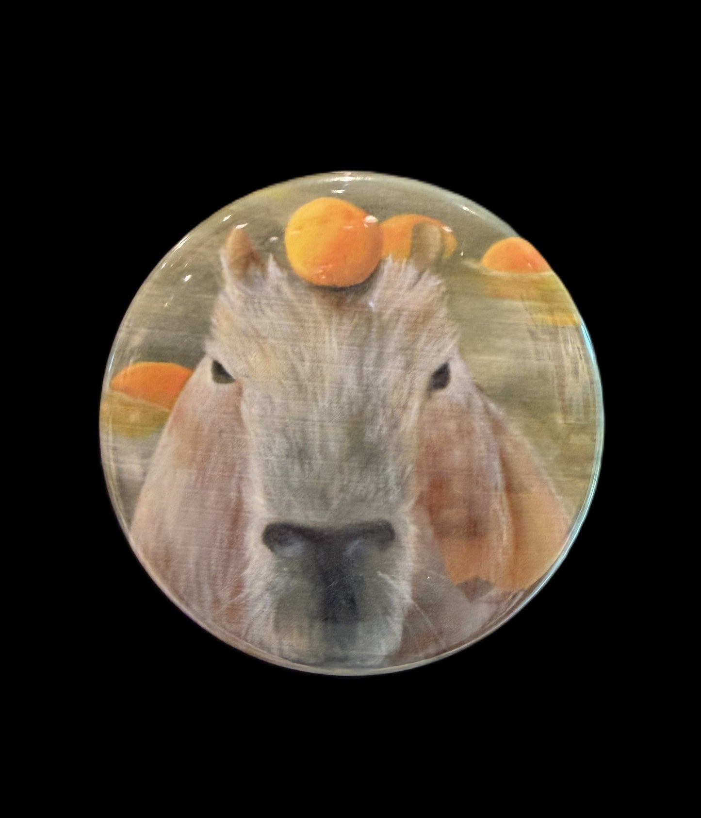 Kelley Williams Magnets