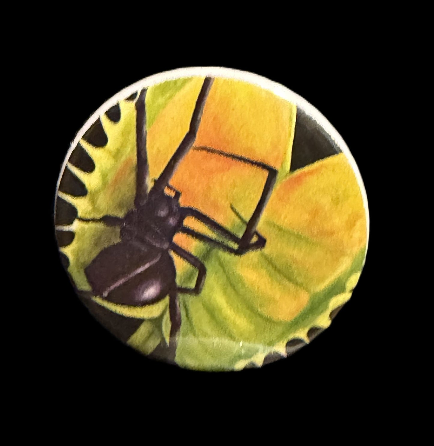 Kelley Willams Button