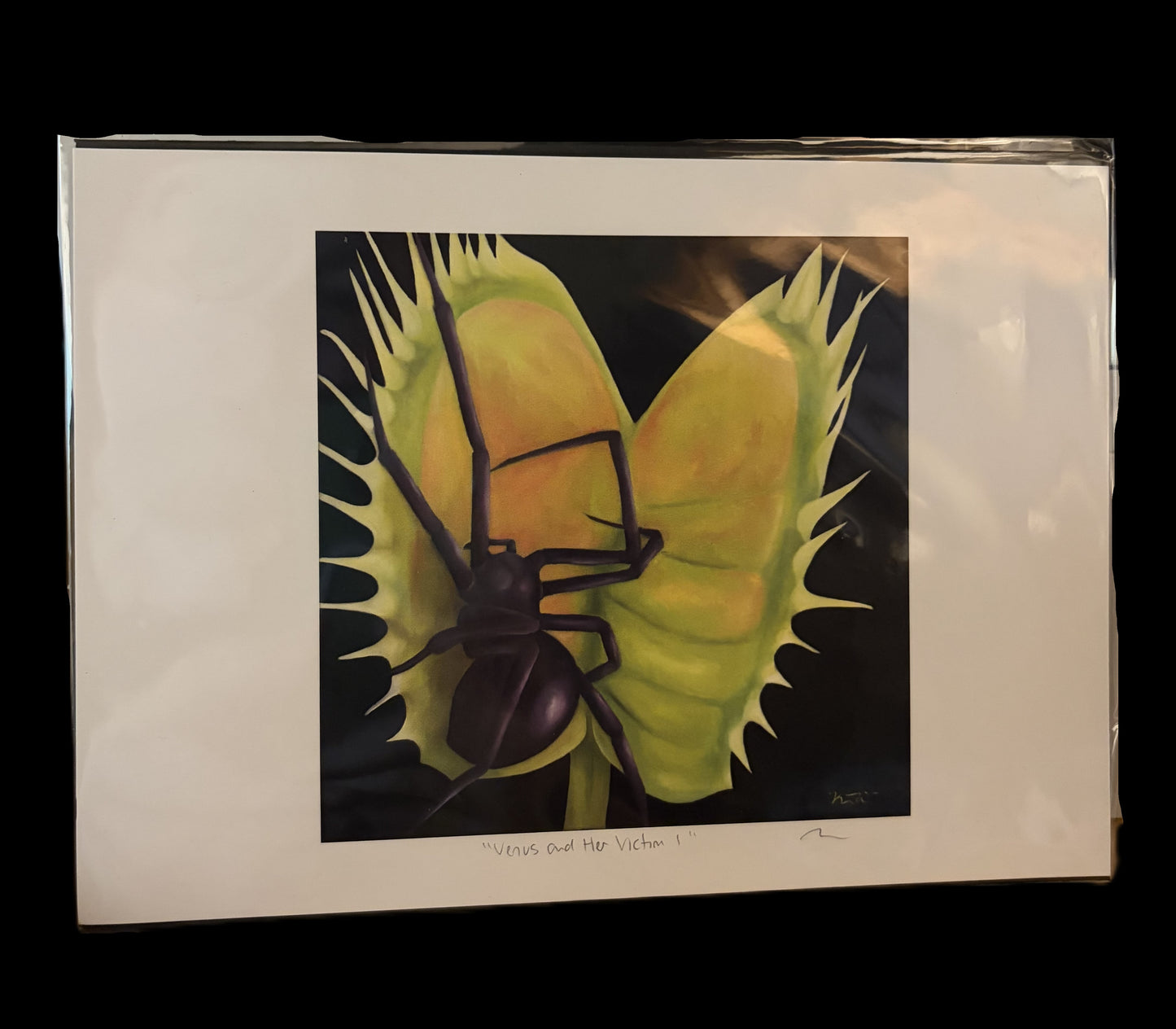 Kelley Williams prints